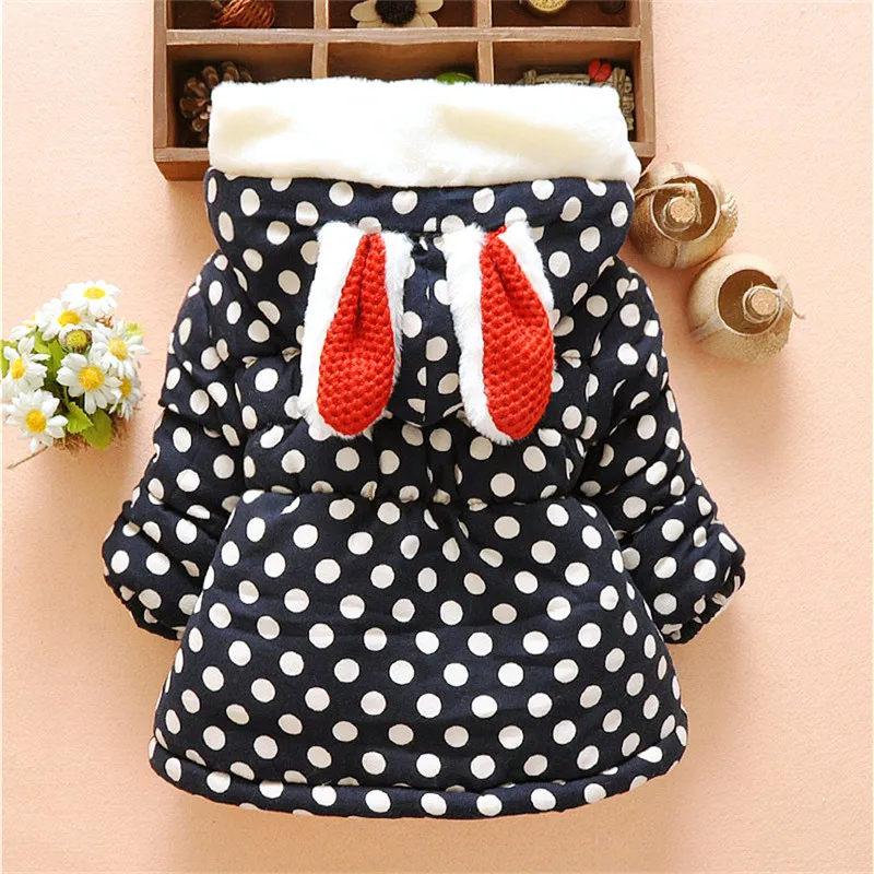 2422151982_128607065