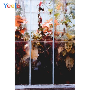 Yeele Landscape Photocall Window Leaves Rain Grunde Photography Backdrops Personalized Photographic Backgrounds For Photo Studio
Yeele Landscape Photocall Window Leaves Rain Grunde Photography Backdrops Personalized Photographic Backgrounds For Photo Studio
