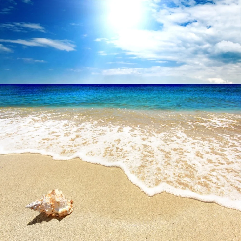 Laeacco Sea Beach Shell Blue Sky White Clouds Scenic Photography Backgrounds Customized Photographic Backdrops For Photo Studio
Laeacco Sea Beach Shell Blue Sky White Clouds Scenic Photography Backgrounds Customized Photographic Backdrops For Photo Studio