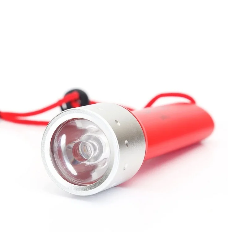 diving flashlight (21)