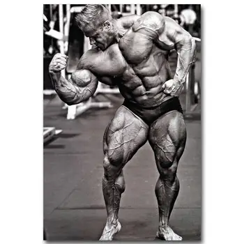 0990A Jay Cutler - IFBB Bodybuilder Fitness-Wall Sticker Silk Poster Light Canvas Decoration
0990A Jay Cutler - IFBB Bodybuilder Fitness-Wall Sticker Silk Poster Light Canvas Decoration