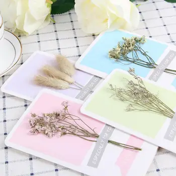 10pcs/lot DIY Personalized Dried Flowers Handmade Greeting Cards Lover Gift Card Happy Birthday Anniversary Cards 15*9cm
10pcs/lot DIY Personalized Dried Flowers Handmade Greeting Cards Lover Gift Card Happy Birthday Anniversary Cards 15*9cm