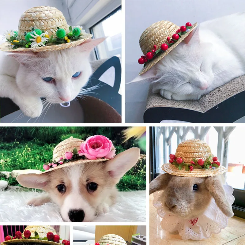 Pet Flower Hat Dog Cap Summer Cat Straw Sun Cap Pet Outdoor Accessories Hawaii Style Sombrero Hats For Puppy Chihuahua
Pet Flower Hat Dog Cap Summer Cat Straw Sun Cap Pet Outdoor Accessories Hawaii Style Sombrero Hats For Puppy Chihuahua