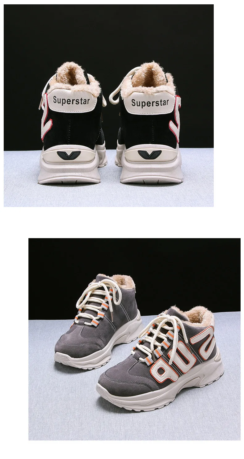 9519342384_1244332661