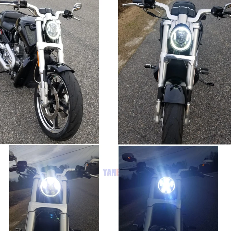 8-SM-V-Rod1