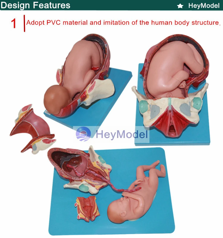 1.PVC_