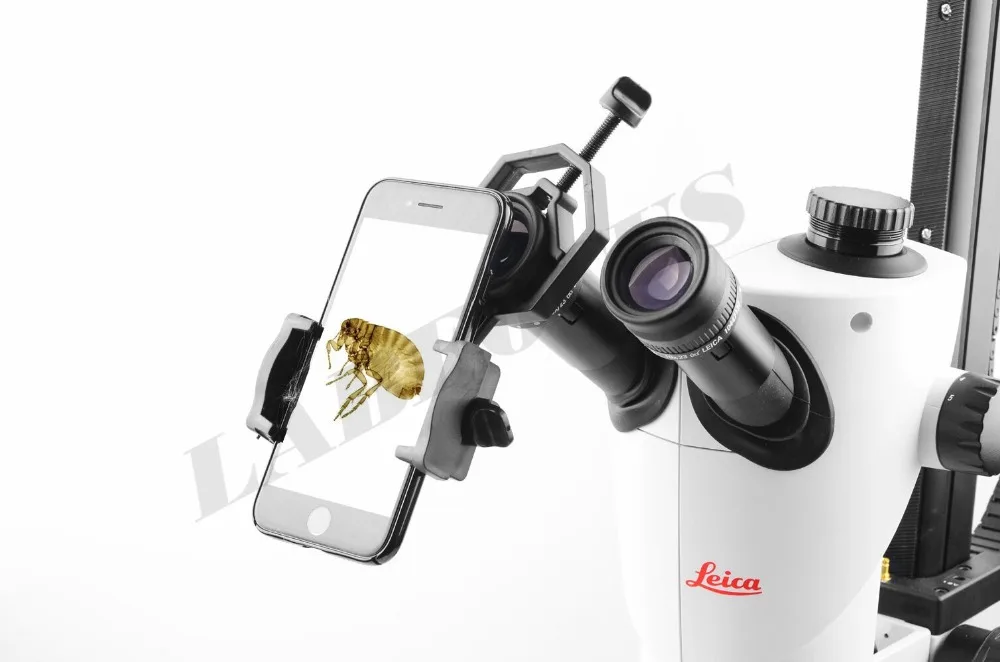 Бесплатная идентификация товара, фотоэлемент для микроскопа и телескопа, любой телефон для микроскопа, телескопа, хирургического микроскопа
Бесплатная идентификация товара, фотоэлемент для микроскопа и телескопа, любой телефон для микроскопа, телескопа, хирургического микроскопа