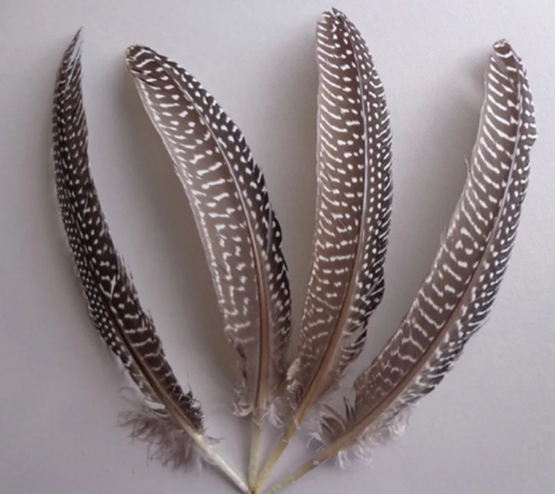 Veren!plumas! 100 шт./лот 13-16 см натуральный черный и белый Морская сова крыло перья морская курица крыло перьев
Veren!plumas! 100 шт./лот 13-16 см натуральный черный и белый Морская сова крыло перья морская курица крыло перьев