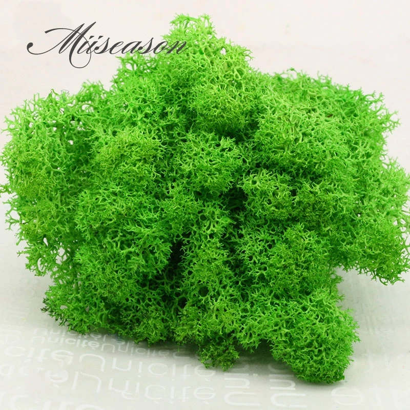 10g Landscape Artificial Everlasting moss plant eternal grass garden home decor DIY flower material garden micro accessories
10g Landscape Artificial Everlasting moss plant eternal grass garden home decor DIY flower material garden micro accessories