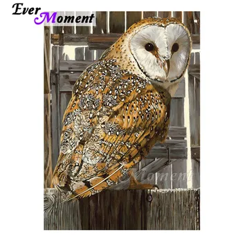 Ever Moment Diamond Painting Handmade Owl Wooden Door Full Square Drill 5D DIY Rhinestone Diamond Embroidery Cross Stitch 3F1240
Ever Moment Diamond Painting Handmade Owl Wooden Door Full Square Drill 5D DIY Rhinestone Diamond Embroidery Cross Stitch 3F1240