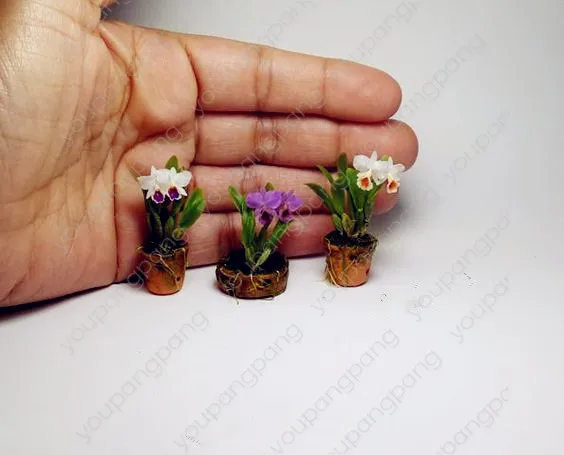 100pcs Mini Orchid bonsai flowers for rooms perennial indoor plants for home and garden potted flowers Phalaenopsis
100pcs Mini Orchid bonsai flowers for rooms perennial indoor plants for home and garden potted flowers Phalaenopsis