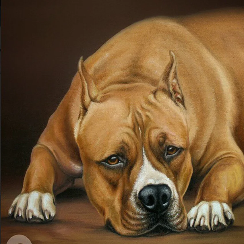 Round Full Diamond Embroidery American Bully Pitbull 5d Diy Diamond Painting Dog Cross Stitch Patterns Rhinestones Crafts Ny155
Round Full Diamond Embroidery American Bully Pitbull 5d Diy Diamond Painting Dog Cross Stitch Patterns Rhinestones Crafts Ny155