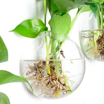 Wall Hanging Glass Vase Transparent Office Hotel Originality Green Rose Vases Art Wall Garden Home Furnishing Decor
Wall Hanging Glass Vase Transparent Office Hotel Originality Green Rose Vases Art Wall Garden Home Furnishing Decor