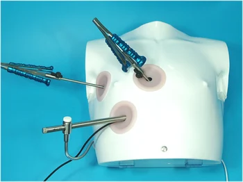 Prosthetic thoracoscopic simulator, Prosthetic training box+HD camera+imstruments+modules 
Prosthetic thoracoscopic simulator, Prosthetic training box+HD camera+imstruments+modules