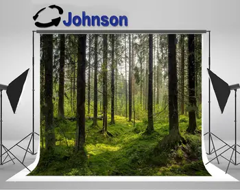 wall background Vinyl cloth High quality Computer print Forest Dark Tree photo backdrop
wall background Vinyl cloth High quality Computer print Forest Dark Tree photo backdrop