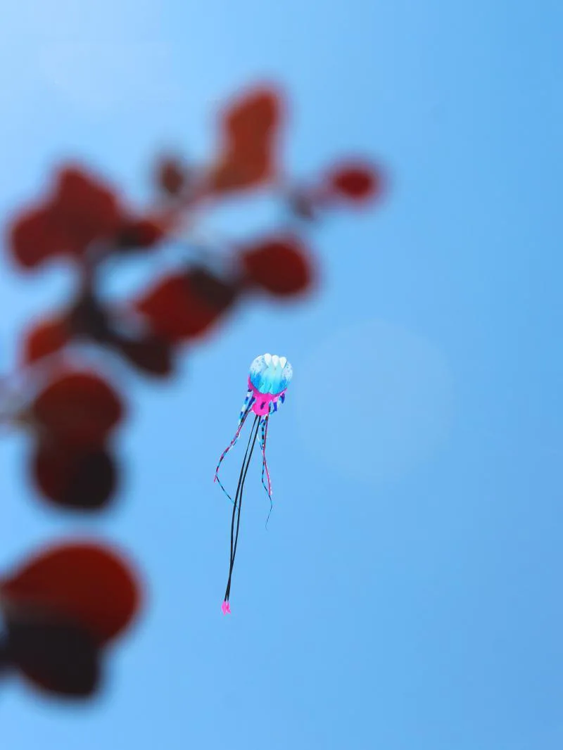 017