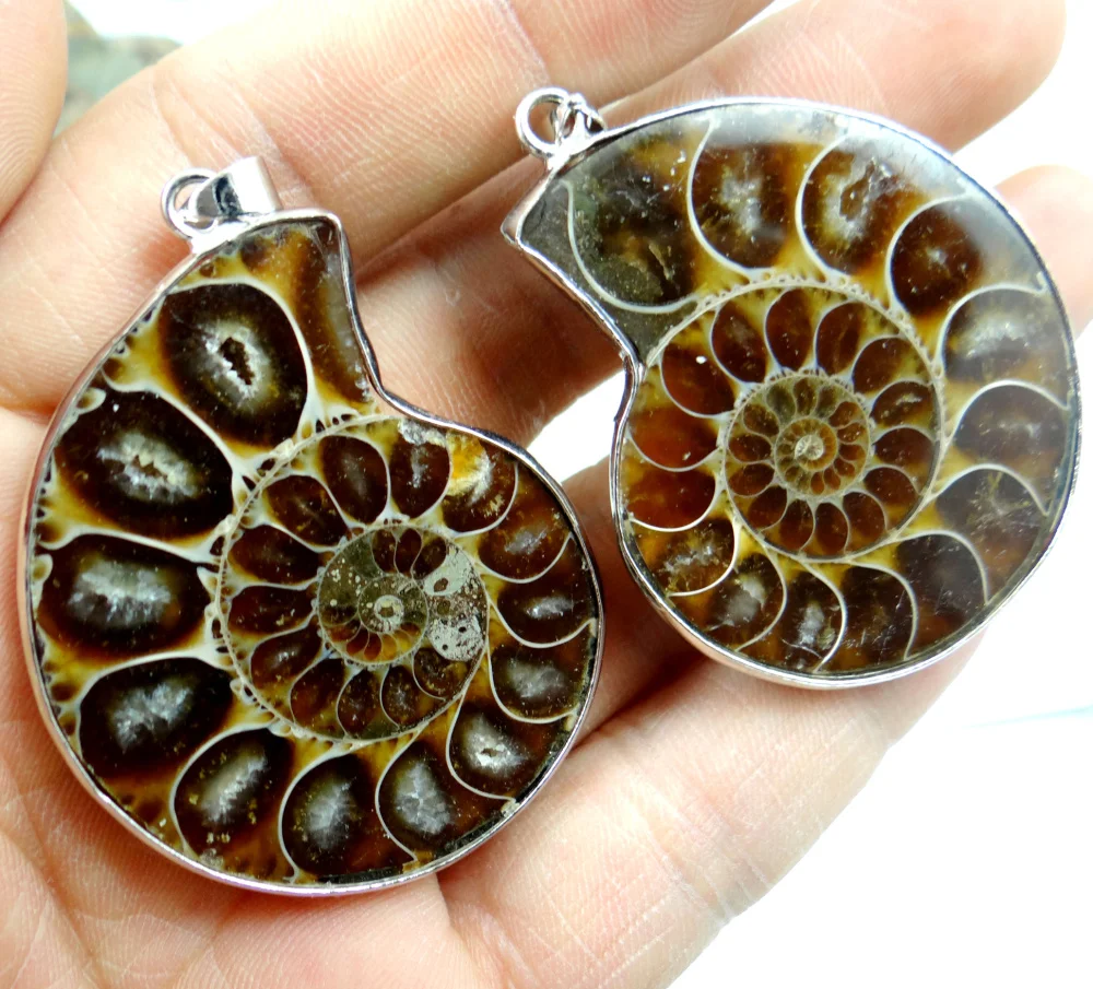 wholesale Natural iridescent Ammonite Fossil Specimen stone pendant Nautilus Pompiplius Ocean Fish Tank Stones Healing 1Pc
wholesale Natural iridescent Ammonite Fossil Specimen stone pendant Nautilus Pompiplius Ocean Fish Tank Stones Healing 1Pc