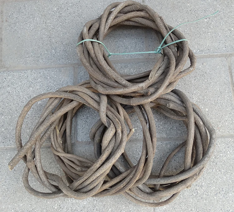 Natural DIY dried flower vine Tree rattan grape twigs dry tree branches balcony decoration Storefront decorate
Natural DIY dried flower vine Tree rattan grape twigs dry tree branches balcony decoration Storefront decorate