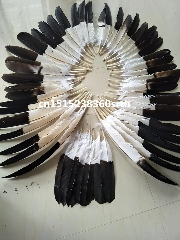 Sale perfect a set high quality scare natural eagle feathers 35-60cm/14-24inch diy stage performance Jewelry crafts decoration
Sale perfect a set high quality scare natural eagle feathers 35-60cm/14-24inch diy stage performance Jewelry crafts decoration