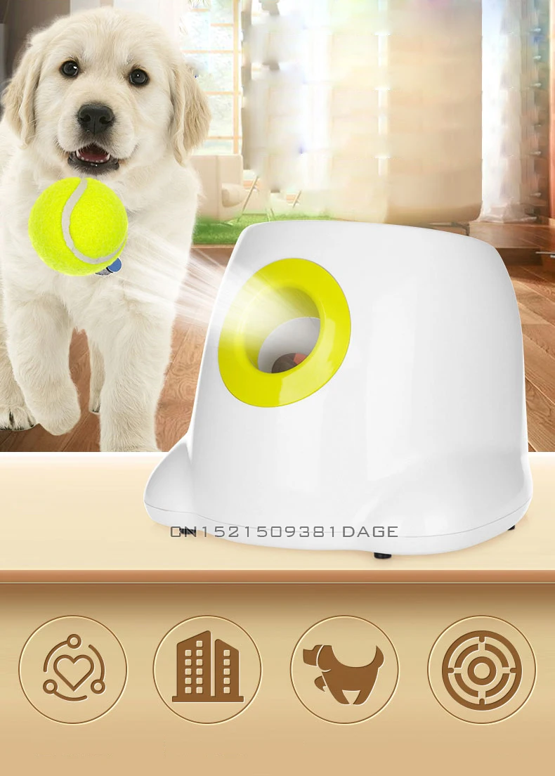 automatic throwing machine for dogs