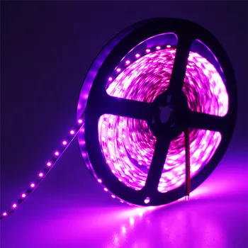 Pink Led Strip Light 3014 SMD 5M 600Leds DC12V Non-waterproof Flexible String Ribbon Led Tape Brighter Than 3528
Pink Led Strip Light 3014 SMD 5M 600Leds DC12V Non-waterproof Flexible String Ribbon Led Tape Brighter Than 3528