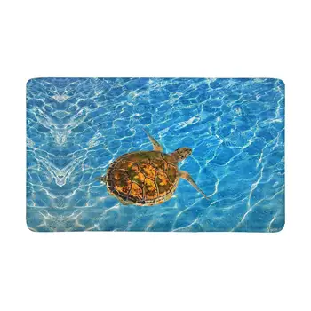 Green Sea Turtle Chelonia Doormat Anti-Slip Entrance Mat Floor Rug Indoor Door Mats Home Decor Rubber Backing X-Large
Green Sea Turtle Chelonia Doormat Anti-Slip Entrance Mat Floor Rug Indoor Door Mats Home Decor Rubber Backing X-Large