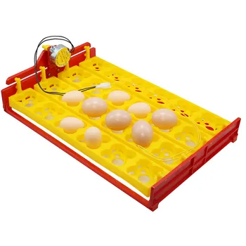 1 pcs Hot Sale 24 Eggs Incubator Egg Trays Automatic Egg Turning AC220-240V 50/60Hz Motors Poultry Bird Egg Hatching Equipment
1 pcs Hot Sale 24 Eggs Incubator Egg Trays Automatic Egg Turning AC220-240V 50/60Hz Motors Poultry Bird Egg Hatching Equipment