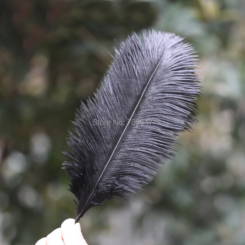 20/50/100pcs/lot Black Ostrich Feathers 12-14inches 30-35cm for Wedding Centerpieces,Diy Wedding Decoration Black Feathers
20/50/100pcs/lot Black Ostrich Feathers 12-14inches 30-35cm for Wedding Centerpieces,Diy Wedding Decoration Black Feathers