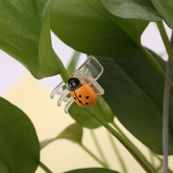 30 Pcs Orchid Clips, Ladybug Plant Clips, Garden Support Clips Durable Plant Flower Stem Clips,Garden Tomato Trellis Clips
30 Pcs Orchid Clips, Ladybug Plant Clips, Garden Support Clips Durable Plant Flower Stem Clips,Garden Tomato Trellis Clips