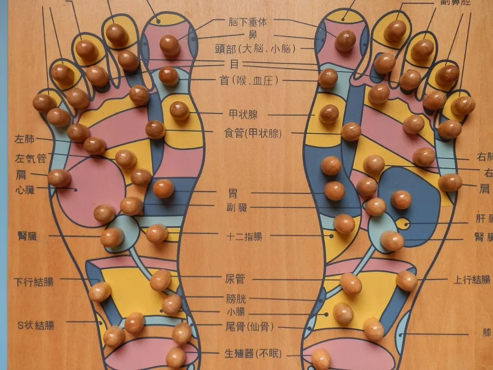 Japanese 1
