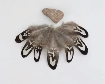 Hot Selling Wholesale beautiful 500pcs natural Pheasant feather 5-10cm/2-4inch DIY jewelry decoration
Hot Selling Wholesale beautiful 500pcs natural Pheasant feather 5-10cm/2-4inch DIY jewelry decoration
