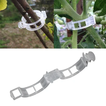Durable Clear 50Pcs Garden Plant Tomato Vine Peppers Support Clips Garden Vegetables For Plant Types Plastic Hanging
Durable Clear 50Pcs Garden Plant Tomato Vine Peppers Support Clips Garden Vegetables For Plant Types Plastic Hanging