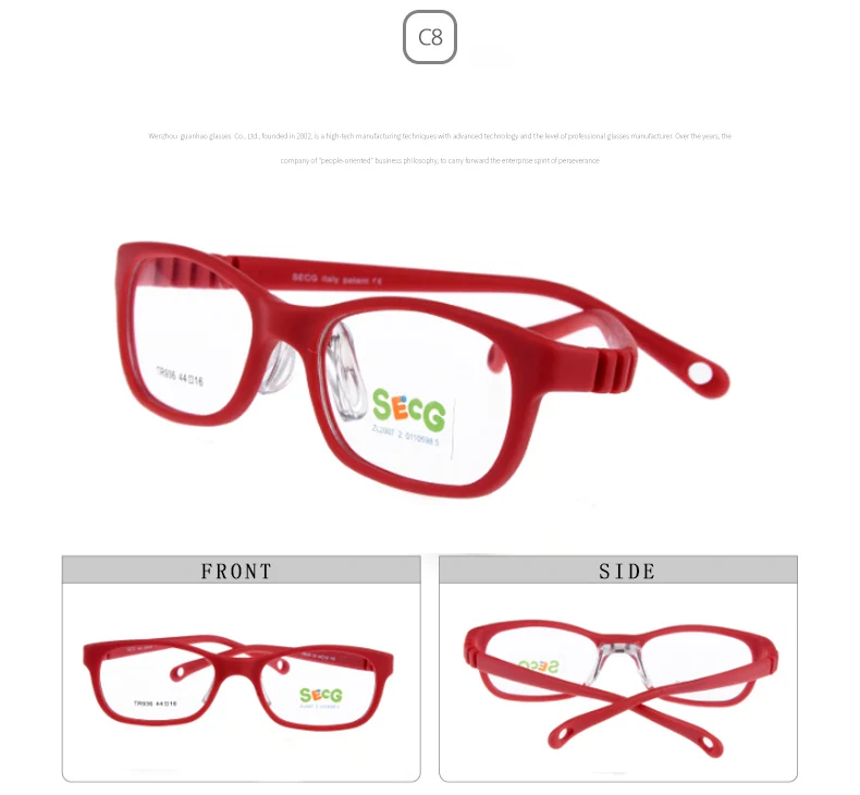 Secure SECG Eyeglasses