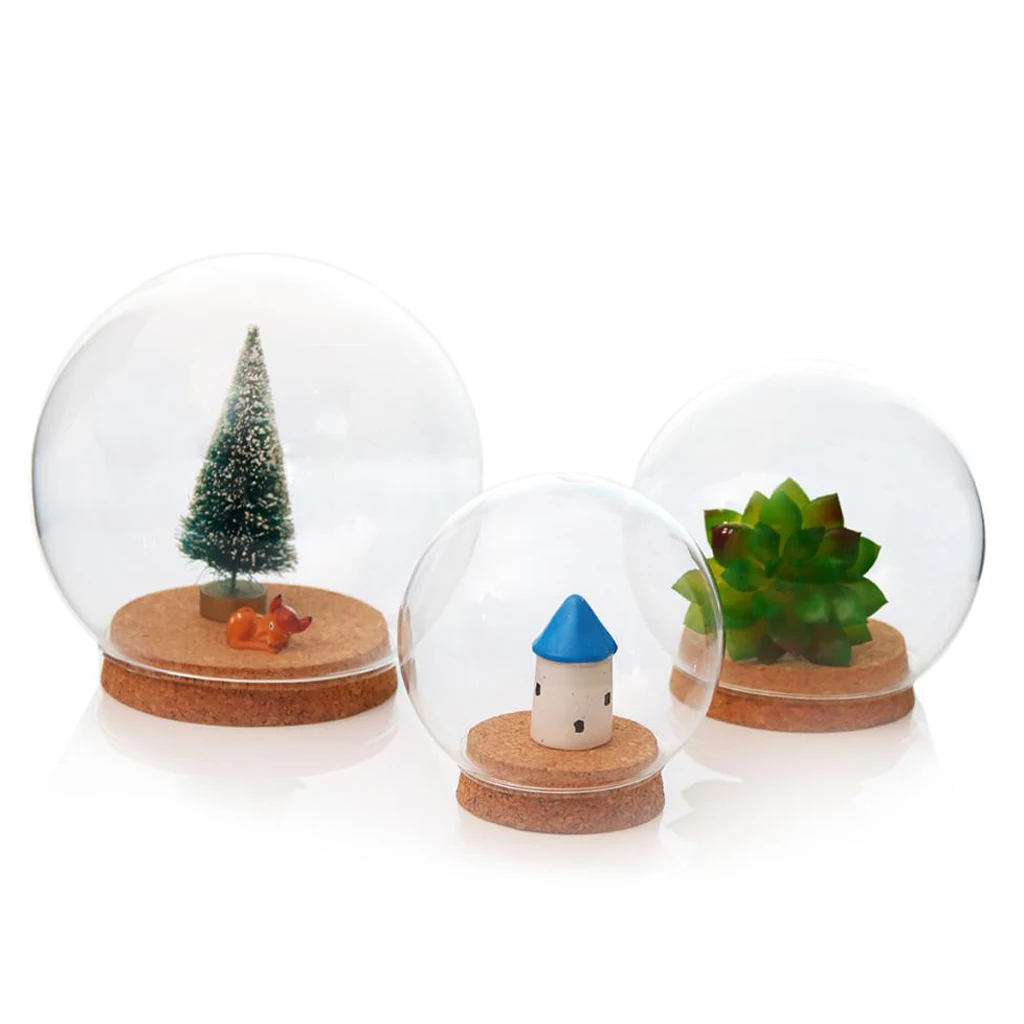 10 Pcs Transparent Glass Ball Shaped Cover Dried Flower Foliage Container DIY Micro Landscape Fairy Decor 10 Pcs Transparent Glass Ball Shaped Cover Dried Flower Foliage Container DIY Micro Landscape Fairy Decor