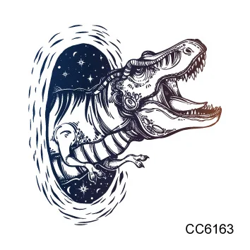 cc 60 (21)