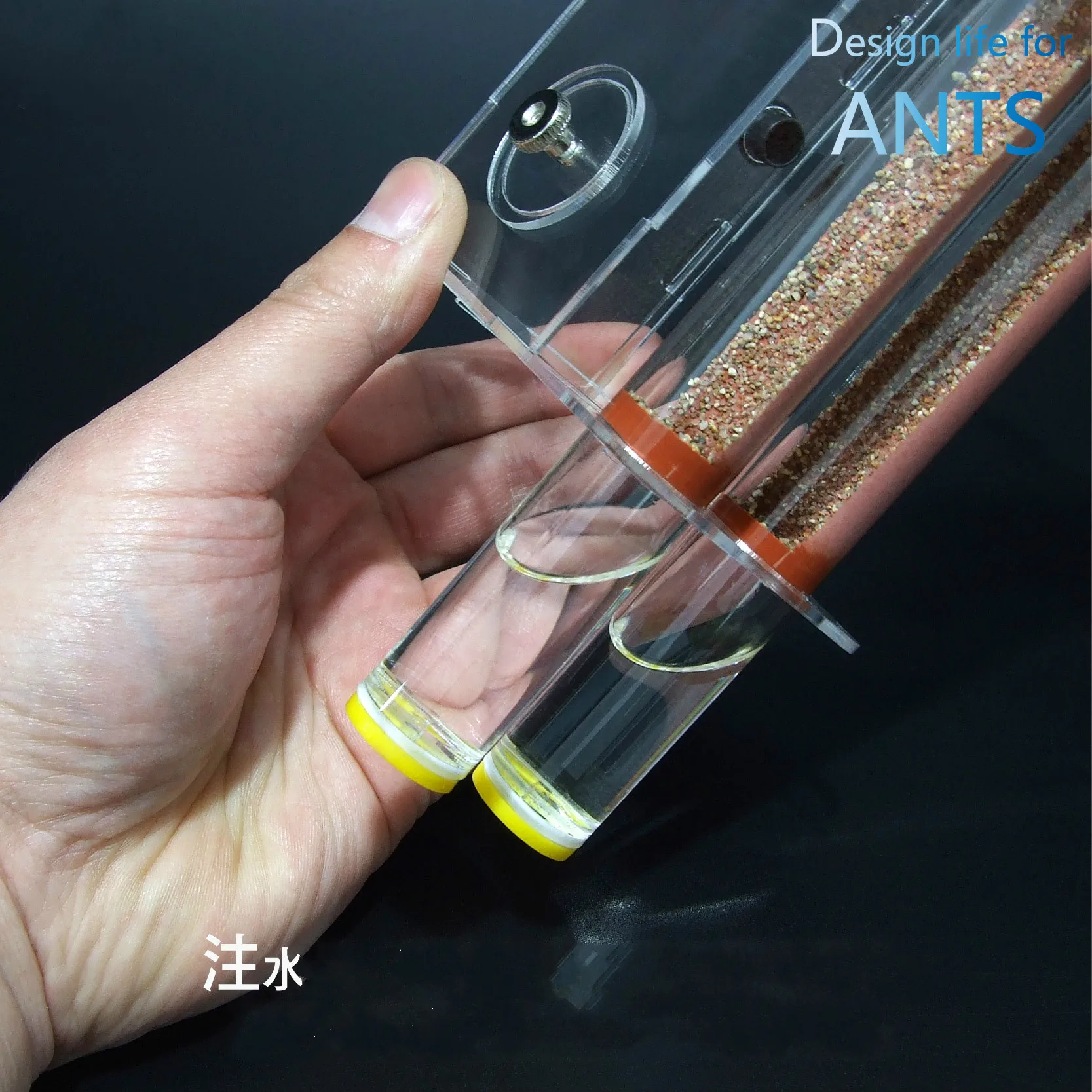 1PCS Pet ants/Two 20*150 mm bamboo nests in large activity area/Acrylic ant nests in workshop ants farm house
1PCS Pet ants/Two 20*150 mm bamboo nests in large activity area/Acrylic ant nests in workshop ants farm house