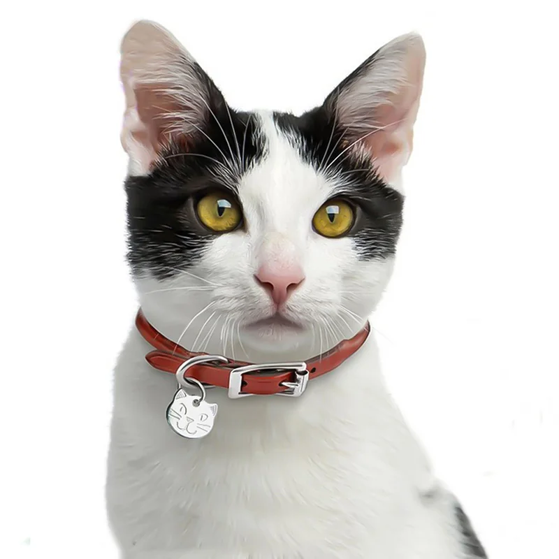 

Anti-lost Cute Cat Head Shape Pet ID Tag Metal Pets Cat ID Name Tags Cat Collar Pendants Accessories