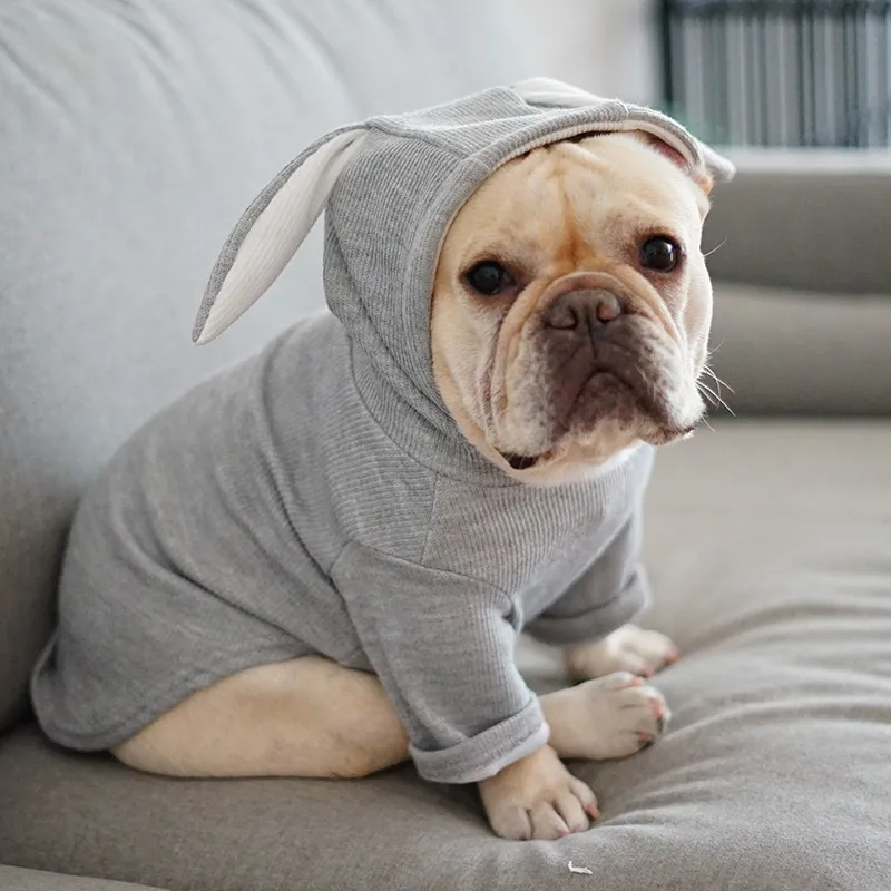 Pug French Bulldog Dog Clothes Stripe Spring Autumn Hoodie Coat Sweatshirt Small Dog Chihuahua Poodle Yorkies Coat Jacket
Pug French Bulldog Dog Clothes Stripe Spring Autumn Hoodie Coat Sweatshirt Small Dog Chihuahua Poodle Yorkies Coat Jacket