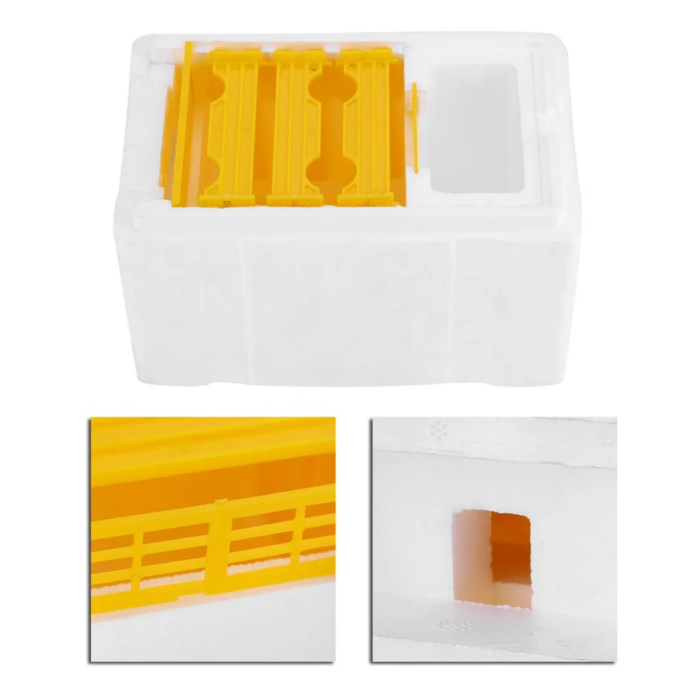 Foam Plastic Mating Bee Hive Beekeeping Home Use Harvest Pollination White Easy Maintenance Garden Honeycomb Building Frames
Foam Plastic Mating Bee Hive Beekeeping Home Use Harvest Pollination White Easy Maintenance Garden Honeycomb Building Frames