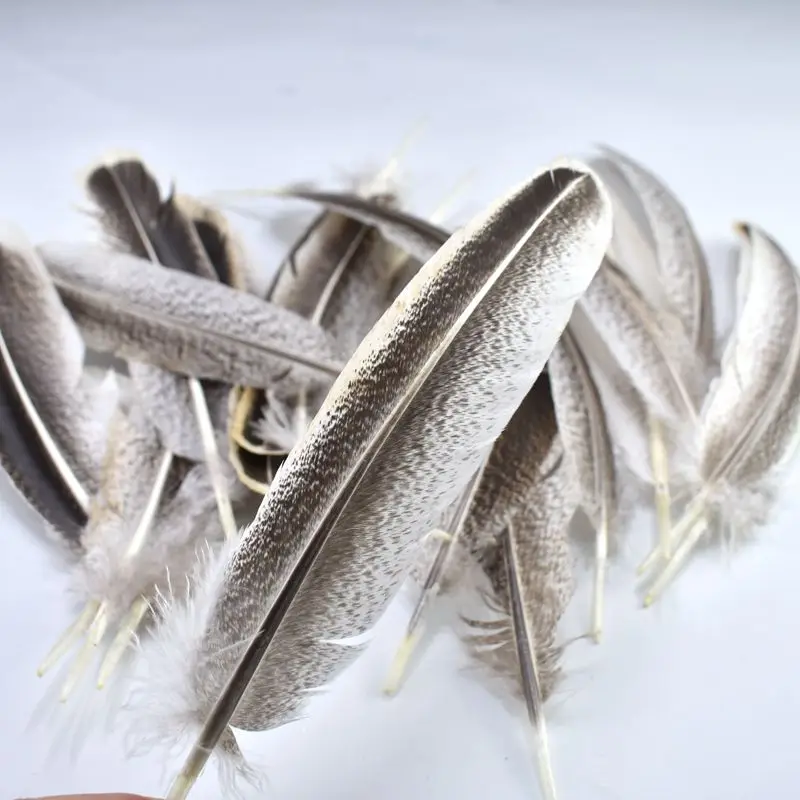 Top quality Natural Eagle bird feathers For Crafts jewelry making plume 22-27cm DIY home carnival headdress Party Decoration
Top quality Natural Eagle bird feathers For Crafts jewelry making plume 22-27cm DIY home carnival headdress Party Decoration