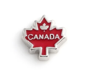 20PCS/lot Enamel Canada DIY Alloy Floating Locket Charms Fit For Magnetic Memory Locket Fashion Jewelrys
20PCS/lot Enamel Canada DIY Alloy Floating Locket Charms Fit For Magnetic Memory Locket Fashion Jewelrys