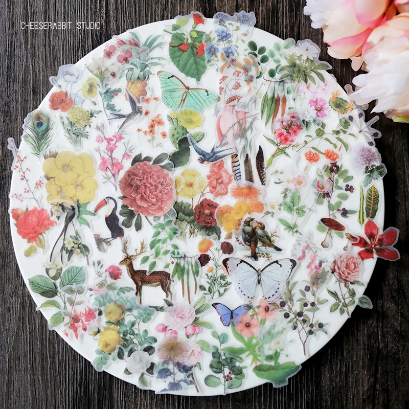 VYUTXA 60pcs Vintage Vellum stickers for Scrapbooking Happy Planner/Card Making/Journaling Project
VYUTXA 60pcs Vintage Vellum stickers for Scrapbooking Happy Planner/Card Making/Journaling Project
