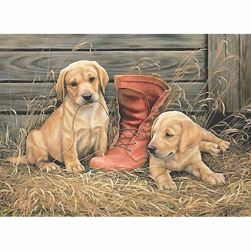CHUNXIA Framed DIY Painting By Numbers Animals Dog Acrylic Painting Modern Picture Home Decor For Living Room 40x50cm RA3524
CHUNXIA Framed DIY Painting By Numbers Animals Dog Acrylic Painting Modern Picture Home Decor For Living Room 40x50cm RA3524