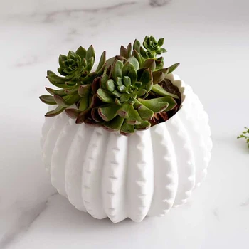 1[pc Simulation Cactus Pastoral Decorative Artificial Cactus Figurines White Porcelain Simulation Plant Ornaments without Plant
1[pc Simulation Cactus Pastoral Decorative Artificial Cactus Figurines White Porcelain Simulation Plant Ornaments without Plant