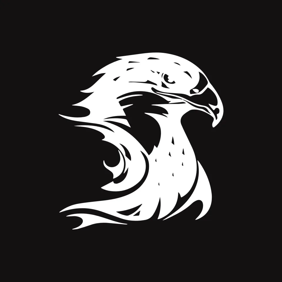 Anycuros Fire Flame Eagle Hawk Head Decal Car Sticker Vinyl Car Styling Accessories Motorcycle Window Toilet Sticker 13.314 (6)
