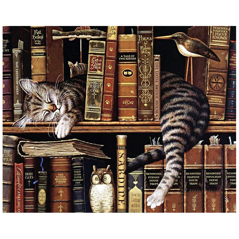 100% Full 5D Diy Daimond Painting "Cat and book" 3D Diamond Painting Round Rhinestone Diamant Painting Embroidery Carton
100% Full 5D Diy Daimond Painting "Cat and book" 3D Diamond Painting Round Rhinestone Diamant Painting Embroidery Carton