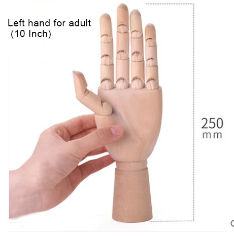 10Inch-25cm-Adult-LeftHand
