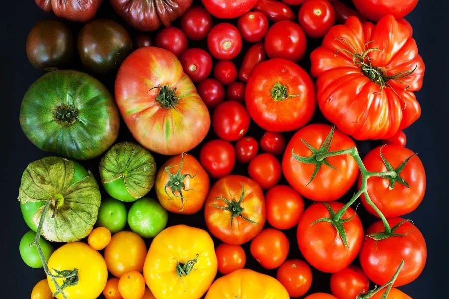 DIY frame Tomatoes Colorful Vegetables Food posters and print home decor art silk Fabric Poster Print
DIY frame Tomatoes Colorful Vegetables Food posters and print home decor art silk Fabric Poster Print
