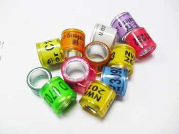 1300pc Aluminium with Plastic Pigeon Ring 
1300pc Aluminium with Plastic Pigeon Ring