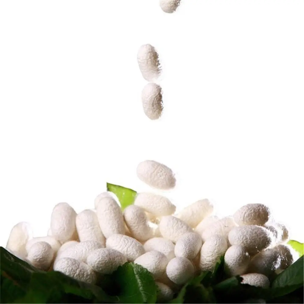 30pcs Natural Organic Silkworm Cocoon Balls Purifying Whitening Exfoliating Scrub blackhead Acne Remover Facial Skin Care Tool
30pcs Natural Organic Silkworm Cocoon Balls Purifying Whitening Exfoliating Scrub blackhead Acne Remover Facial Skin Care Tool